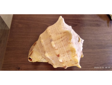 ������� �����.jpg