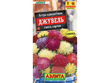 � ����� ������� ����� // ������