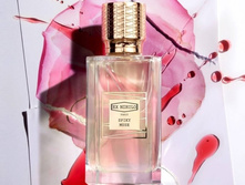 Spiky Muse � � 100 �� 22600+%+����