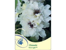 �������� ��������� ���� ����,2��