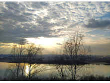 IMG 20250329 170939.jpg