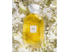 Atelier des Ors nuda veritas 100��