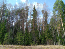 20250419 ������-200 ����������� ������� 115547.jpg