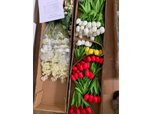 Photo 2025-04-15 14-12-31 (2).jpg