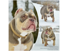 ����� �������,.2025