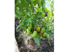 IMG 20240707 142747.jpg