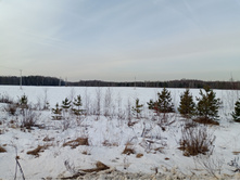 20250301 ������-200 ����������� ����������� 100232.jpg