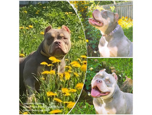 ����� ���� 2025 (2).jpg