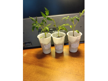 IMG 20250405 172247 — �����.jpg