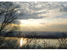 IMG 20250329 171205.jpg