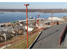 IMG 20250316 144922.jpg