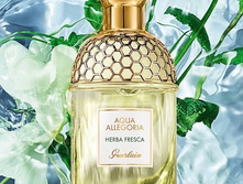AQUA ALLEGORIA HERBA FRESCA 125��