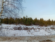 20250301 ������-200 ����������� ����������� 153631.jpg