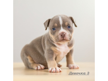 IMG 4768 �������3