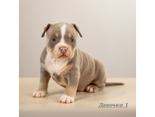 IMG 4536 �������1