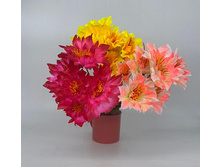 ����� ������������� ������������ �������� (6 �������) 35 ��  80 ���.