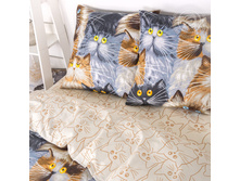 ���� ������� (220 ��. � �����������)1.jpg