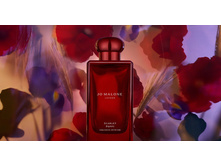 Scarlet Poppy Intense Jo Malone London 100��