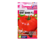 ������ ����� "��� ���", F1, 5 ��