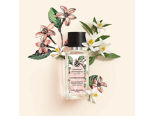 2215 ��� - ������� ����������� ���� Tendres Instants, ������ ��������� 50 ��