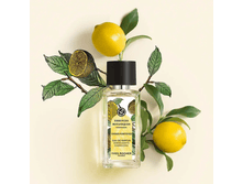 2215 ��� - ������� ����������� ���� Ondes Positives, ����� �������� 50 ��