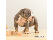 IMG 4997 �������4