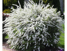 �������� 2 ��! 3 � 2 ���� 500 ��� ������ �������� �����