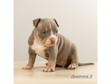 IMG 4712 �������2