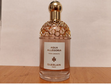 IMG 20250409 211217.jpg