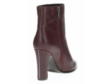 ��������� 36 ����������� ����