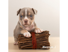 IMG 5150 �������1