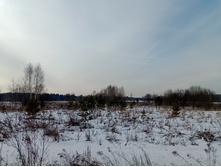 20250301 ������-200 ����������� ����������� 100507.jpg