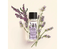 2215 ��� -������� ����������� ���� Calme Absolu, ������� ����������� 50 ��