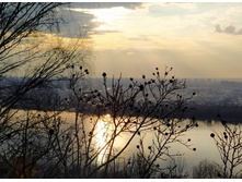 IMG 20250329 171145.jpg