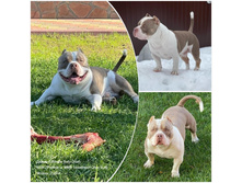 ������ 2024.jpg