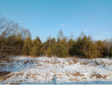 20250301 ������-200 ����������� ����������� 151806.jpg