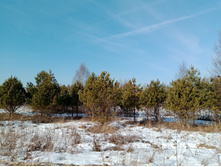 20250301 ������-200 ����������� ����������� 132526.jpg