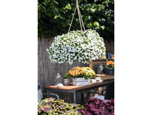 ���������� ALOHA DOUBLE WHITE 155�