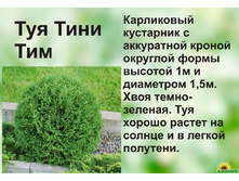 4 ����, 950 ���+%, ��� �������� "���� ���".jpeg