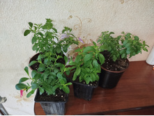 ����������