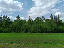 20250517 ������-300 �������� 56 132130.jpg