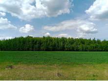 20250517 ������-300 �������� 56 132929.jpg