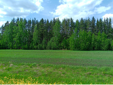 20250517 ������-300 �������� 56 132112.jpg