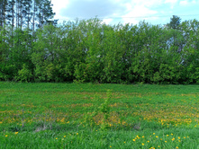 20250517 ������-300 �������� 56 151123.jpg