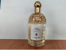 IMG 20250517 171048.jpg