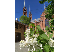 IMG 20250505 143450.jpg