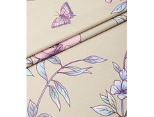 ��������� (������� 220 ��)2.png