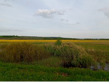 20250517 ������-300 �������� 56 175524.jpg