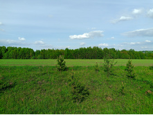 20250517 ������-300 �������� 56 160939.jpg