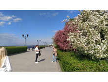 IMG 20250504 160733.jpg